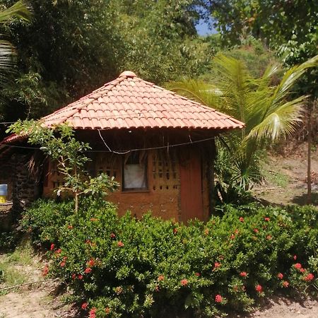 Ecopousada Casa Do Carimbo Fortalezinha アルゴドアウ エクステリア 写真